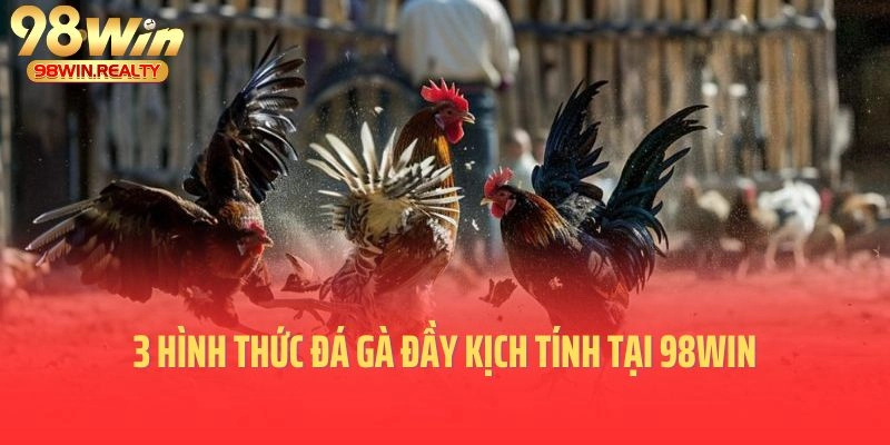 3 hình thức đá gà đầy kịch tính tại 98WIN