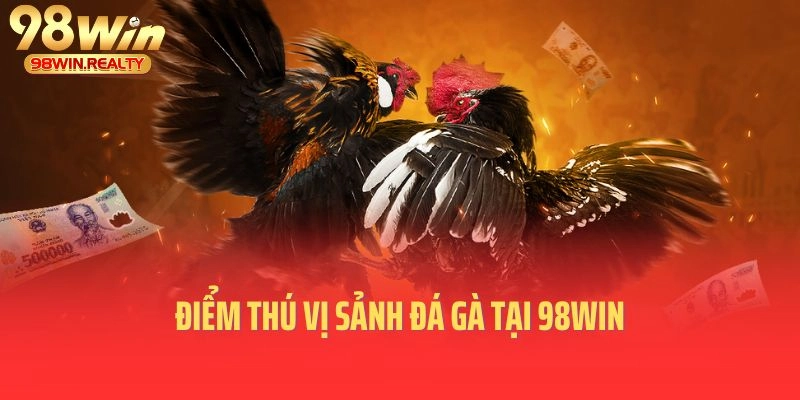 Điểm thú vị sảnh đá gà tại 98WIN