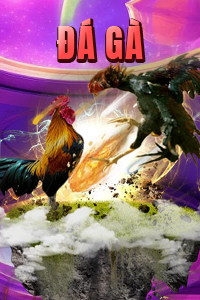 đá gà